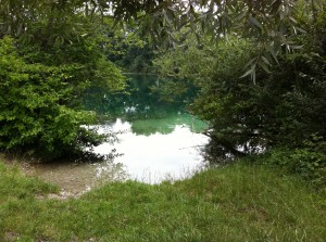 Echinger Weiher - Eching - Deutschland