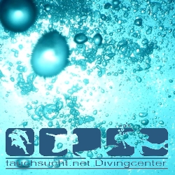 Banner 250x250