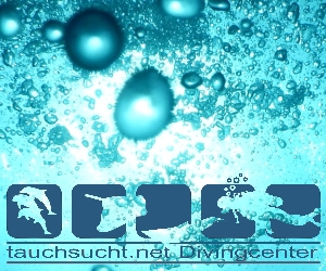 Banner 300x250