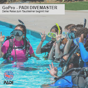 PADI Divemaster