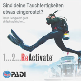 PADI ReActivate