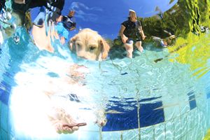 tauchsucht20250921_140634