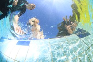 tauchsucht20250921_140650