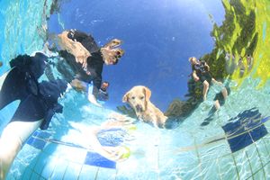 tauchsucht20250921_140700