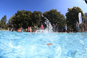 tauchsucht20250921_141124