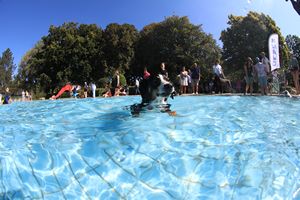 tauchsucht20250921_141208