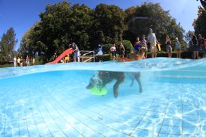 tauchsucht20250921_141516