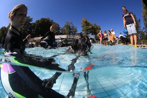 tauchsucht20250921_143304