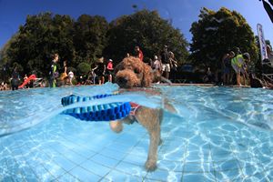 tauchsucht20250921_144748