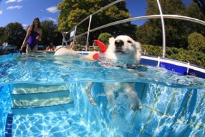 tauchsucht20250921_152604