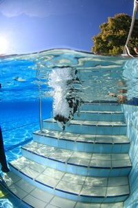 tauchsucht20250921_161320