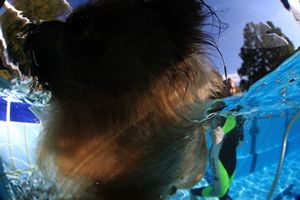 tauchsucht20250921_163719