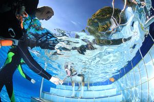 tauchsucht20250921_163946