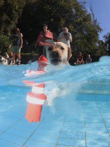 tauchsucht20250922_074828