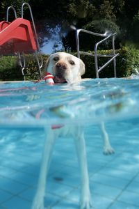 tauchsucht20250923_214702