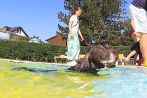 tauchsucht20250924_063648