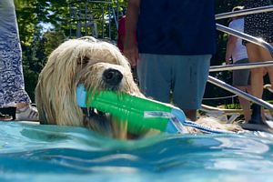 tauchsucht20250924_090408