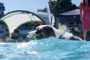 tauchsucht20250924_090636