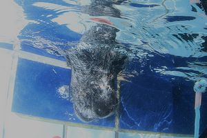 tauchsucht20250924_092244