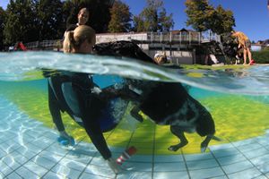 tauchsucht20250924_093624