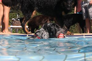 tauchsucht20250924_093746