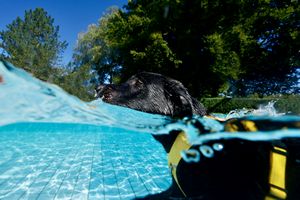 tauchsucht20250924_213028