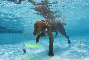 tauchsucht20250924_215604