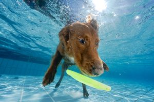 tauchsucht20250924_221312