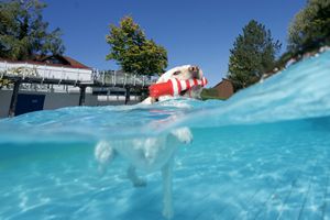 tauchsucht20250925_202518