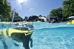 tauchsucht20250925_203716