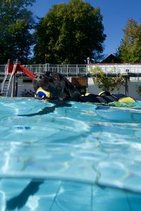 tauchsucht20250925_205144