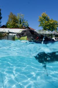 tauchsucht20250925_205530