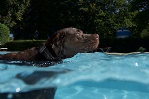 tauchsucht20250925_210812