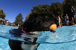 tauchsucht20250925_214410