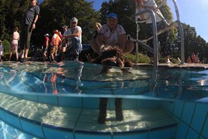 tauchsucht20250925_214638