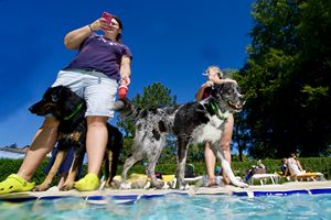 tauchsucht20250925_220214