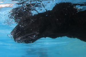 tauchsucht20250925_224410