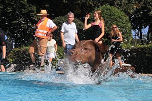 tauchsucht20250925_225258