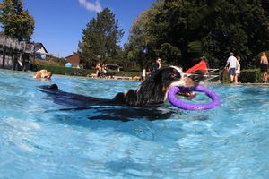 tauchsucht20250925_230530