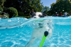 tauchsucht20250926_190308