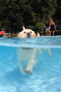 tauchsucht20250926_190640