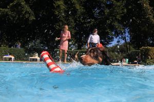 tauchsucht20250926_190908