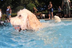 tauchsucht20250926_191612