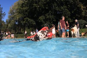 tauchsucht20250926_191838