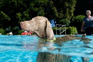 tauchsucht20250926_192236