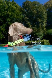 tauchsucht20250926_193350