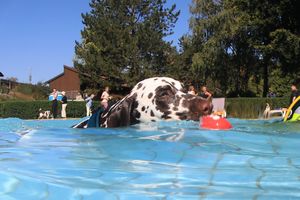 tauchsucht20250926_212258