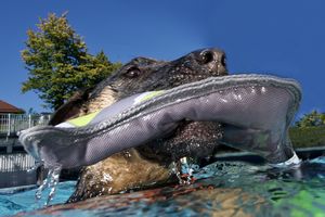 tauchsucht20250926_212400