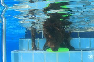 tauchsucht20250926_214316