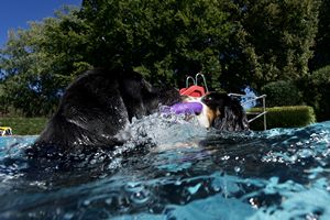 tauchsucht20250926_214322